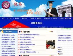 北京網站建設指南 選擇龍鼎網絡，打造專業在線形象